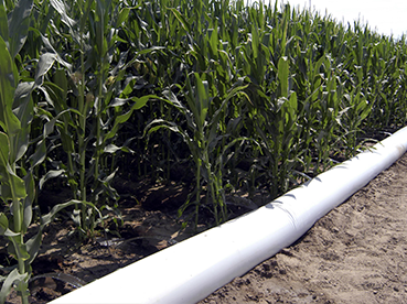 Polytube Irrigation